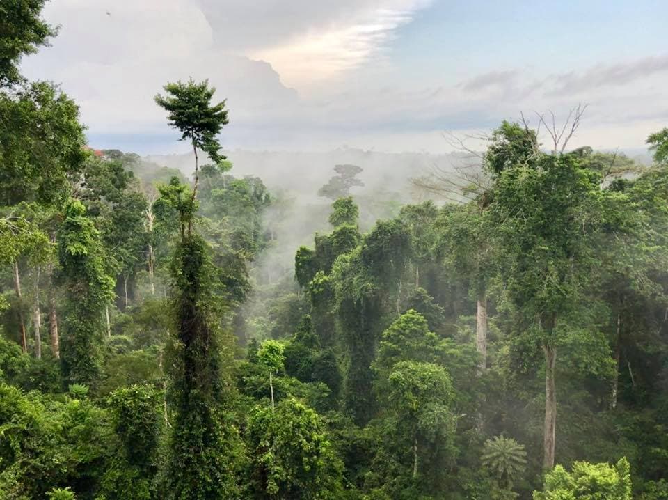 Exploring Kakum National Park