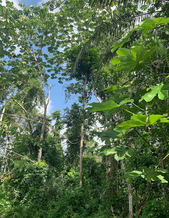 Bia National Park