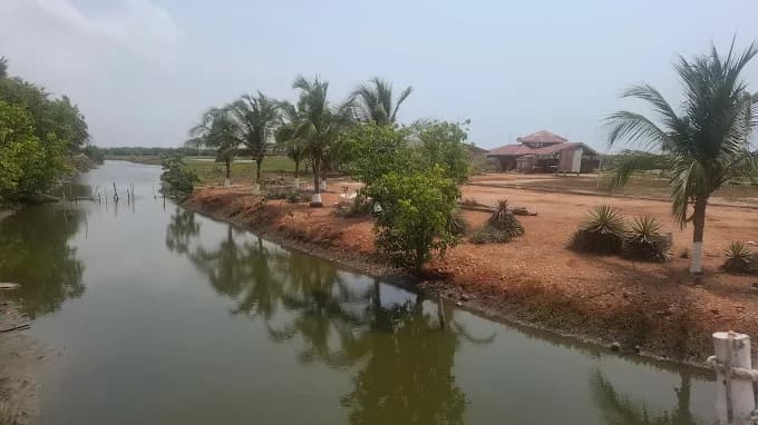 The Densu Delta Protected Area - Image 3