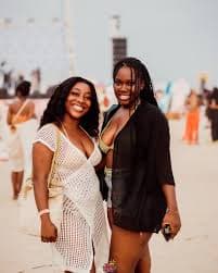 Tanks & Bikinis (The Biggest Beach Party) - Image 5