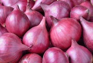 Fresh Onions