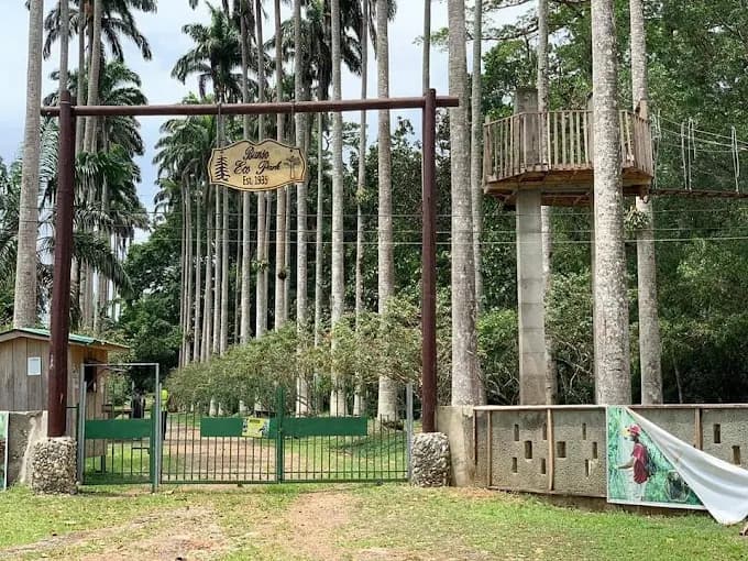 Bunso Eco Park - Image 5