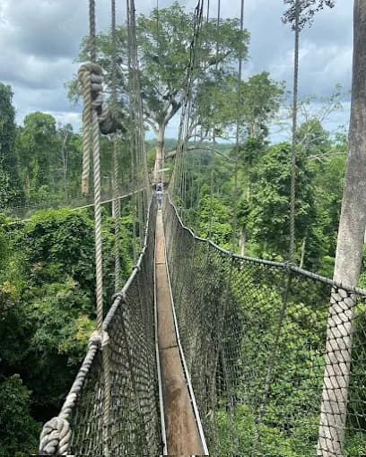Kakum National Park