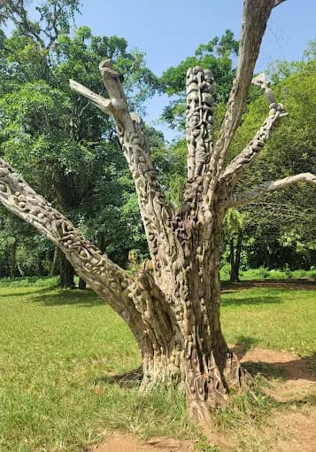 Aburi Botanical Gardens - Image 5