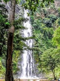 Wli Waterfalls - Image 3