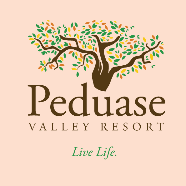Peduase Valley Resort