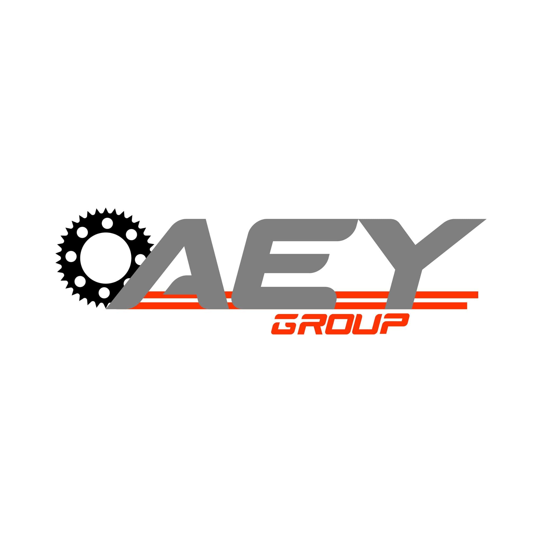 AEY GROUP BOSCH AUTO REPAIR