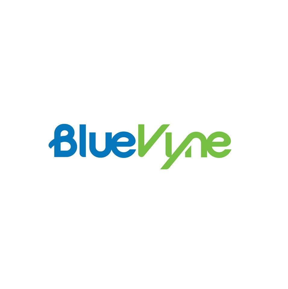 BlueVyne Limited