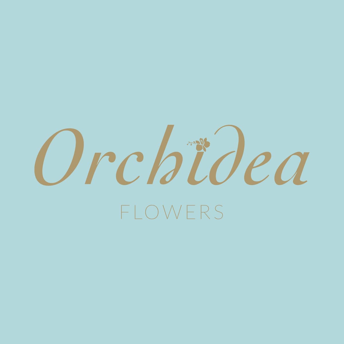 Orchidea Flowers