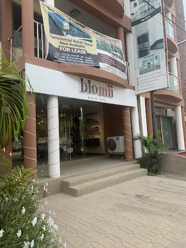 Blomii - Image 5