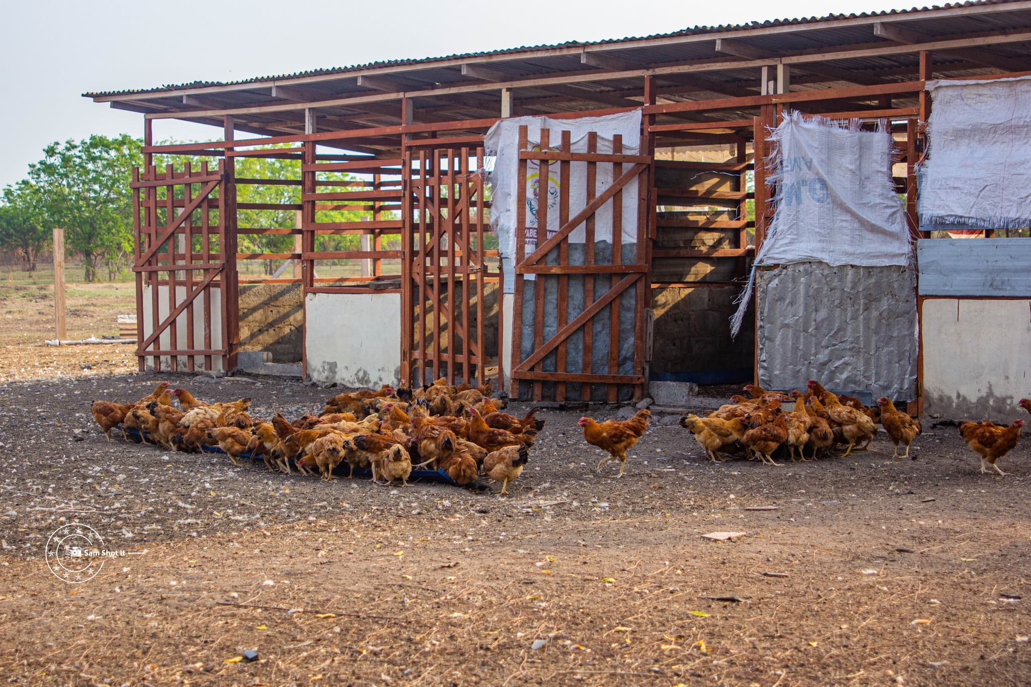 Business image 5