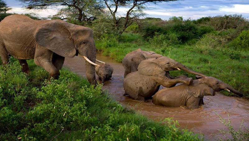 Gbele Game Reserve