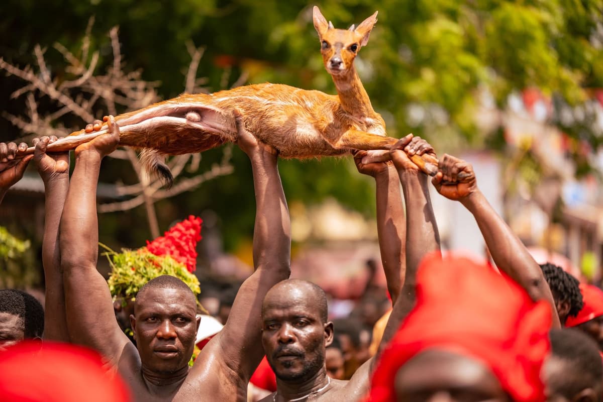 Aboakyer Festival