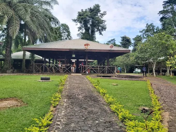 Kakum National Park - Image 4