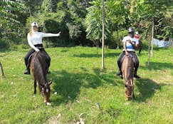 The Green Ranch