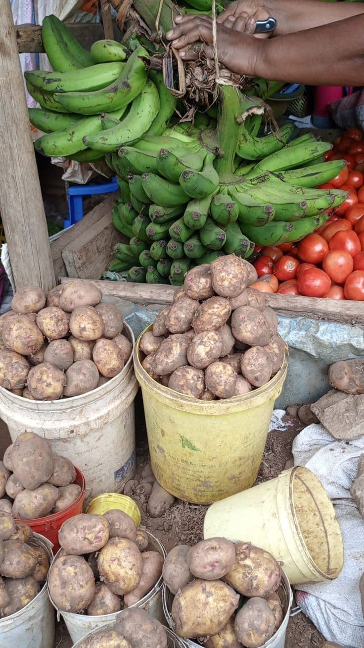Irish Potato Bucket