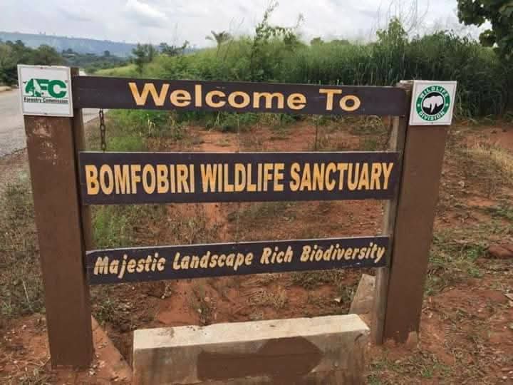 Bomfobiri Wildlife Sanctuary