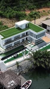 Elevated - Image 2