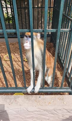 Aborigines Beach Resort - Image 5