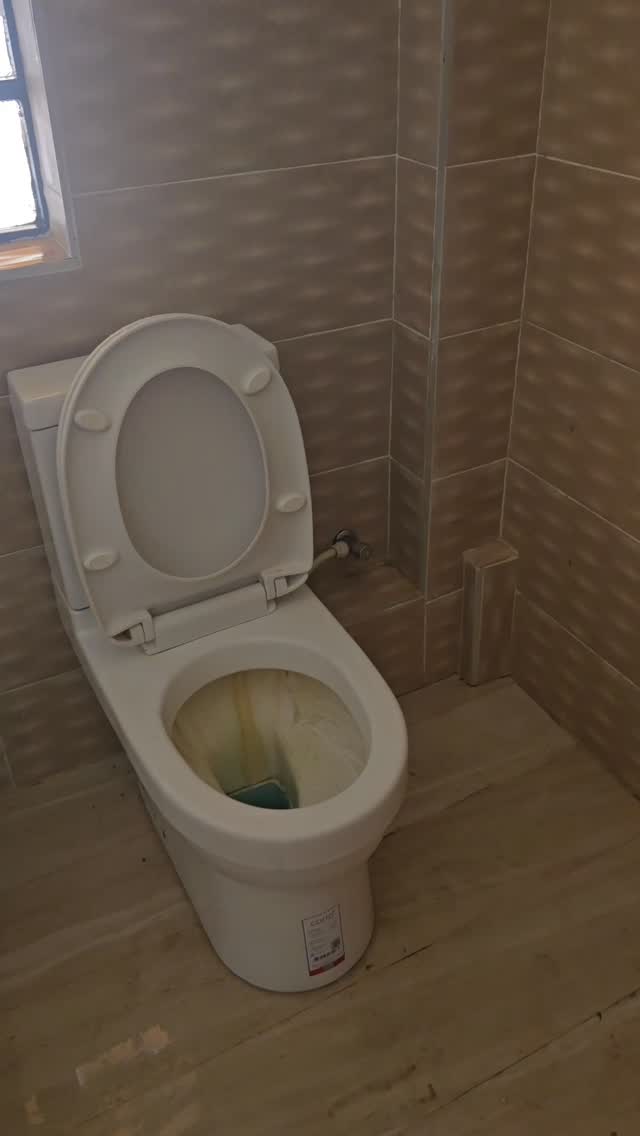 Sink & Toilet Cleaning