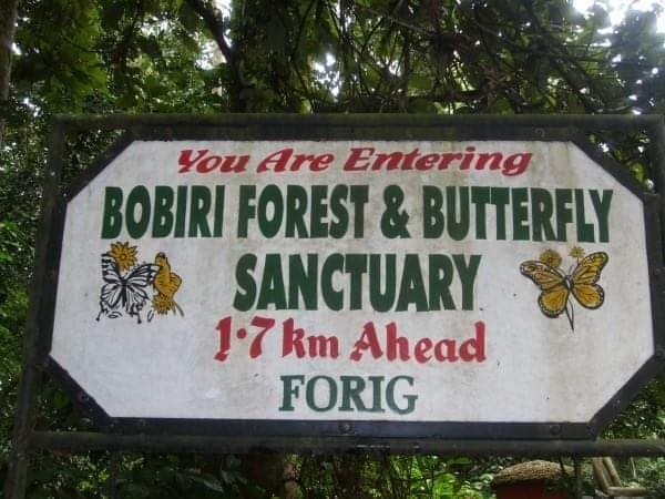 Bobiri Forest Reserve & Butterfly Sanctuary