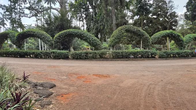 Aburi Botanical Gardens - Image 3