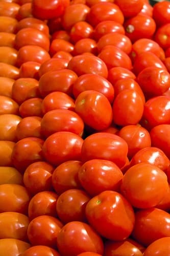Tomatoes 