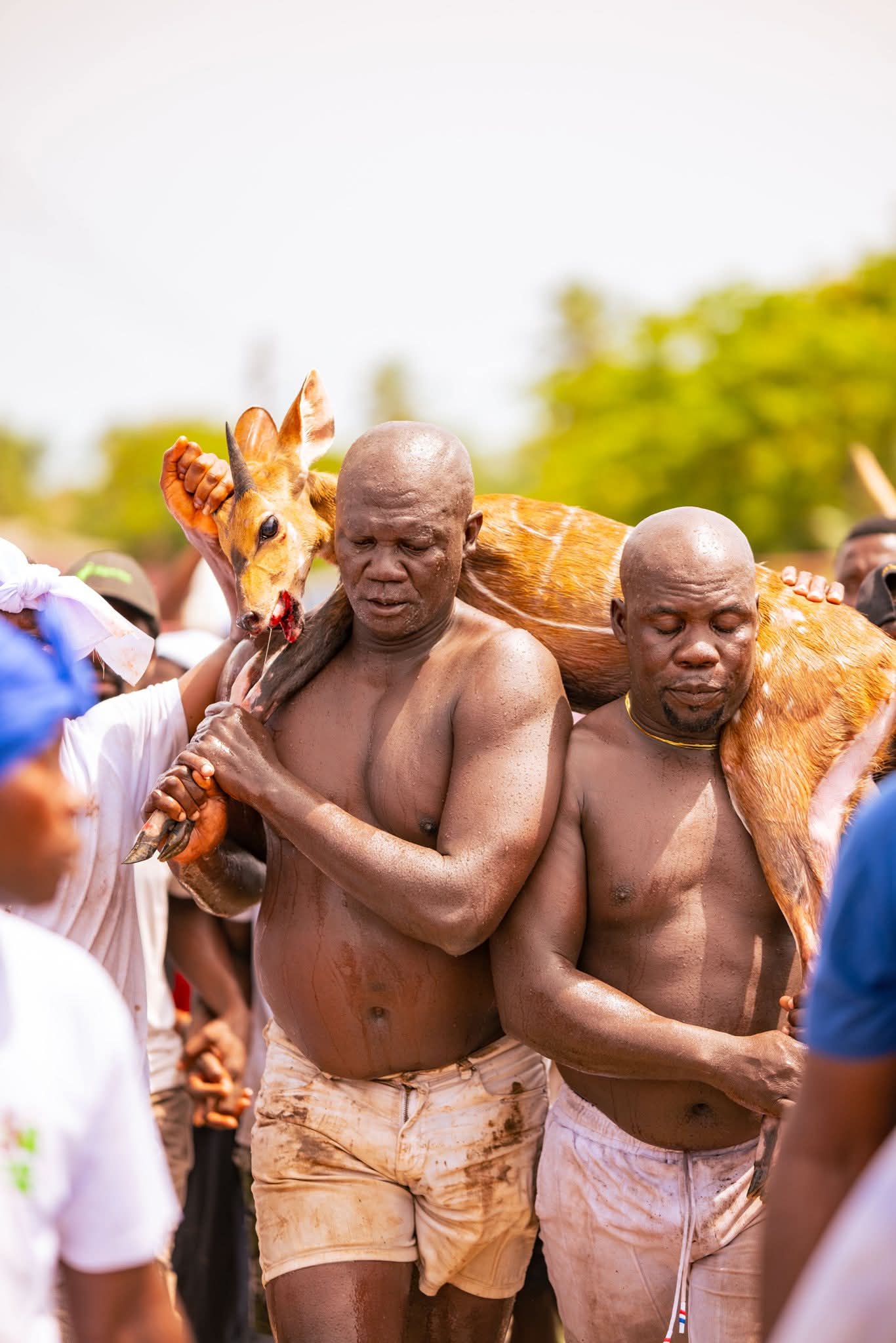 Aboakyer Festival