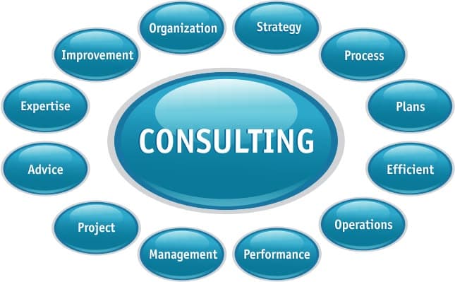 Business Audit & consultation