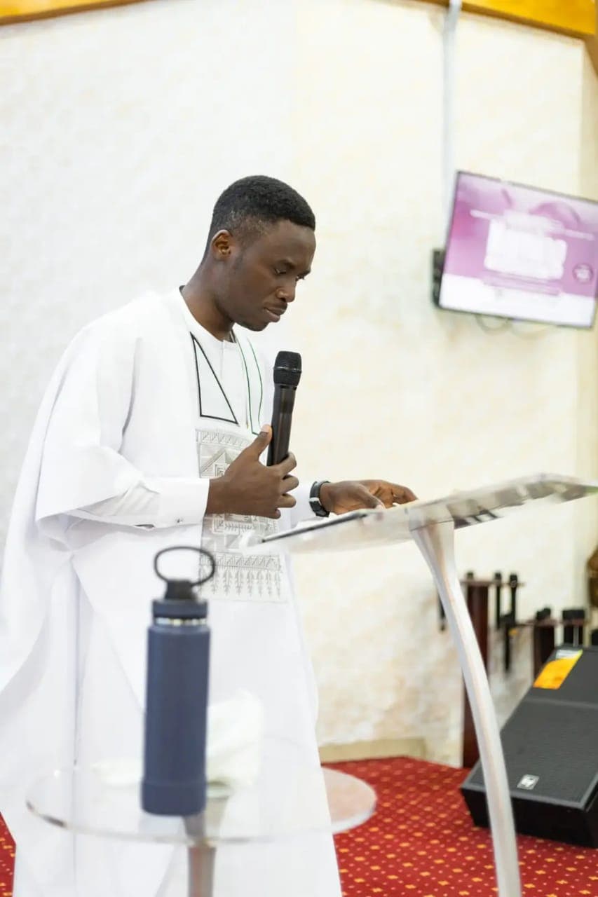 Fabric Fruit - Image 2