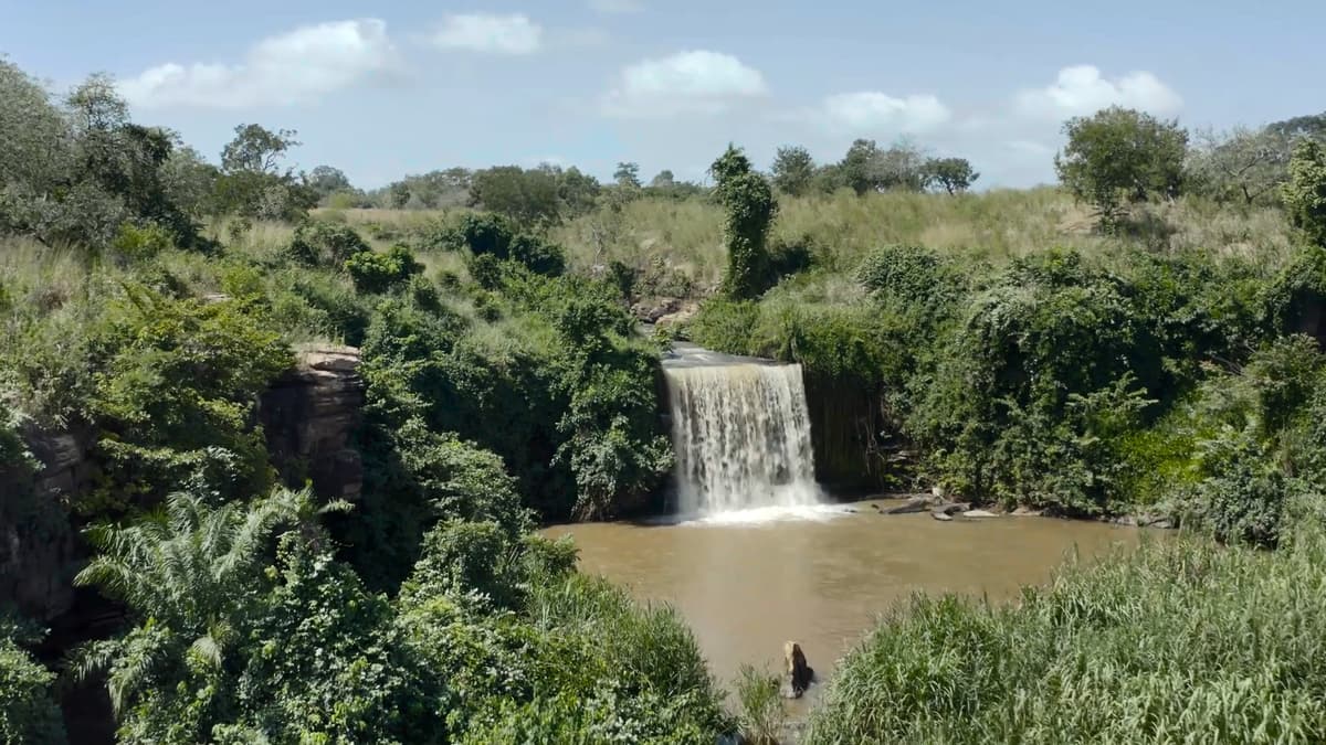 Bomfobiri Wildlife Sanctuary