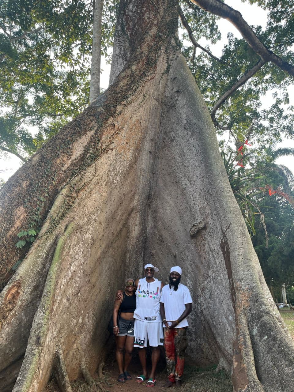 AfroRoot Heritage - Image 3