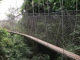 Kakum National Park
