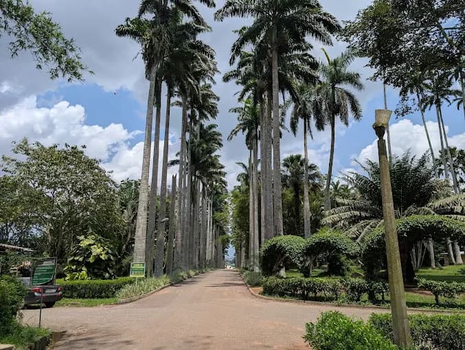 Aburi Botanical Gardens