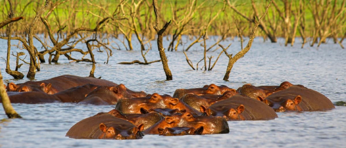 Bui National Park