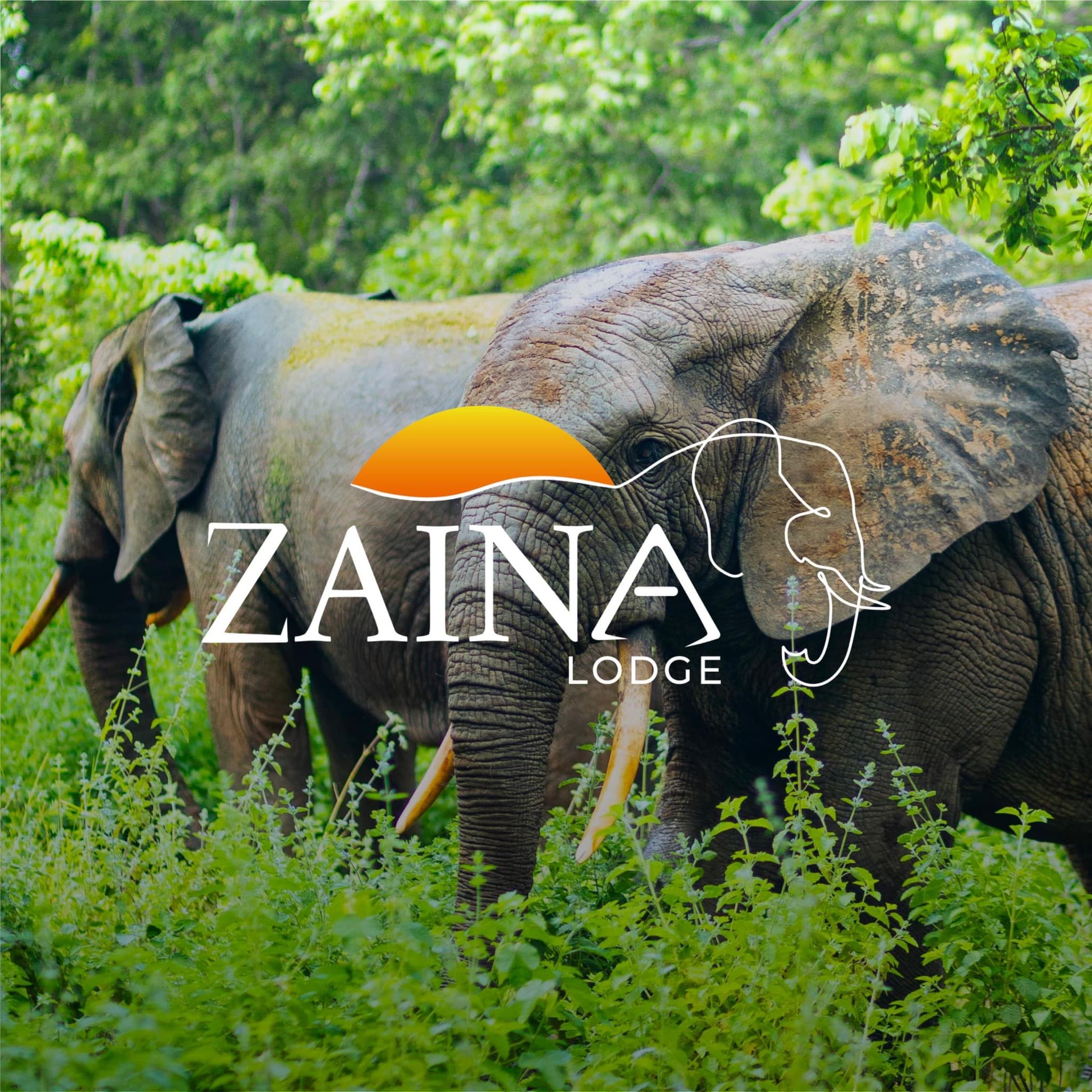 Zaina Lodge