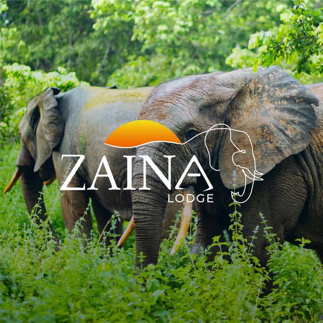 Zaina Lodge
