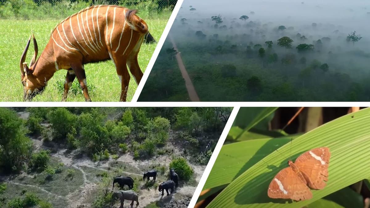 Bia National Park