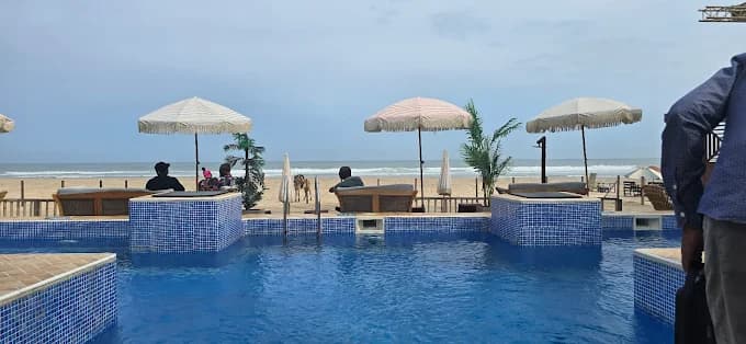 Pink Flamingo Accra - Image 3