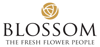 Blossom Fresh Flowers