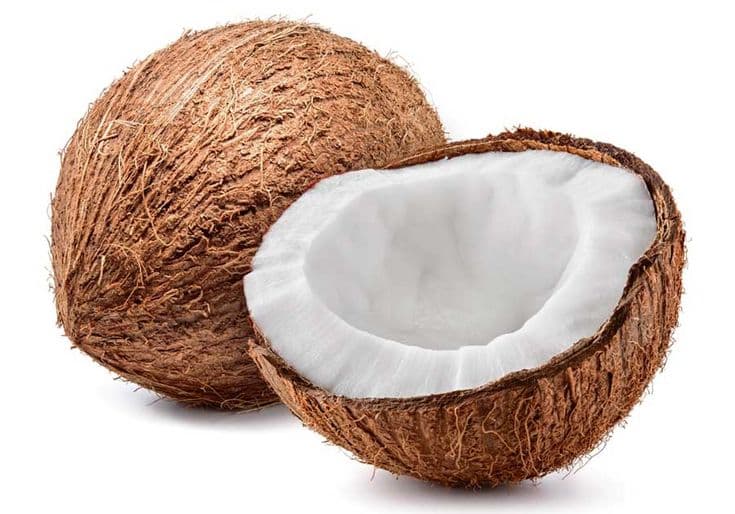 Coconut 