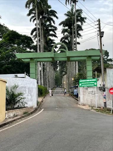 Aburi Botanical Gardens - Image 4