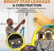 Brightstar Leakage And Construction