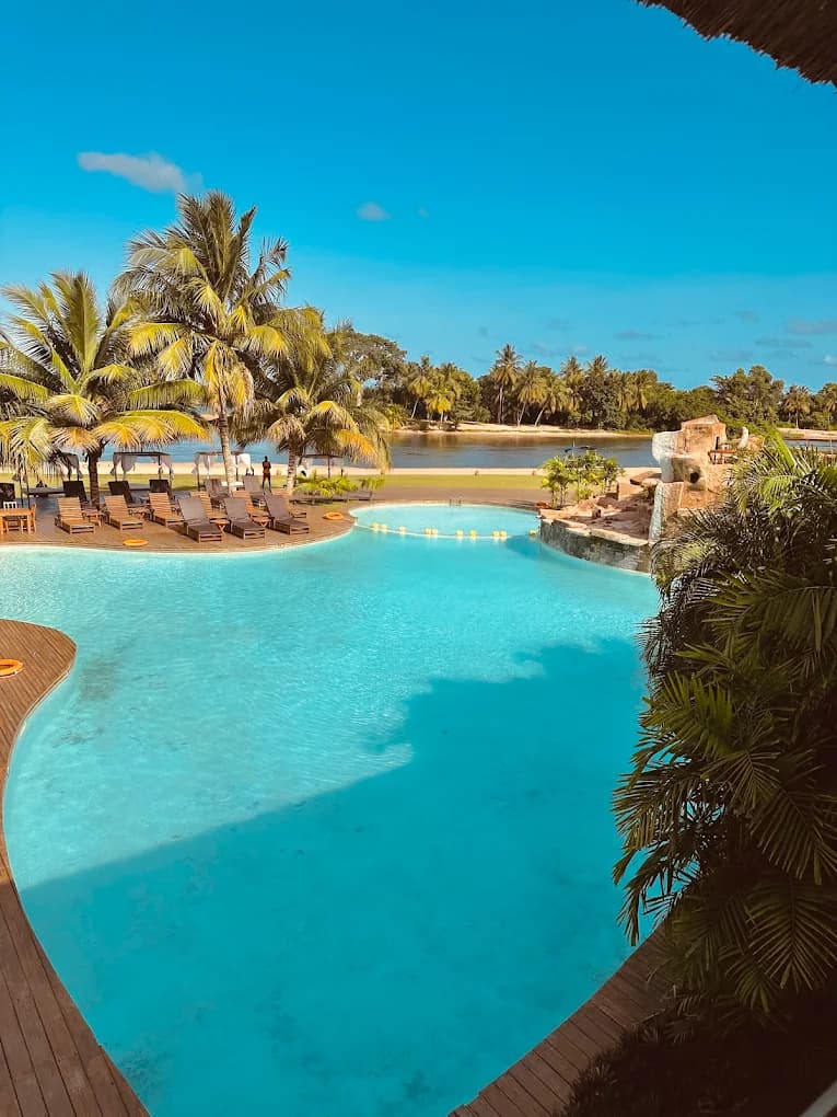 Aqua Safari - Image 3