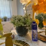 Eubis Signature Events