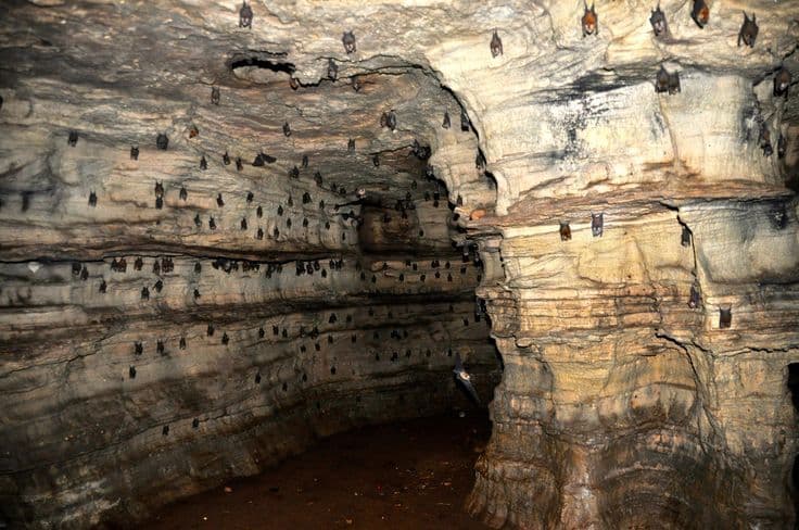Buoyem Caves