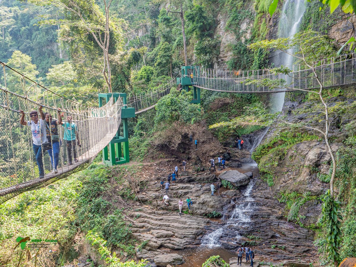 Amedzofe Canopy Walkway