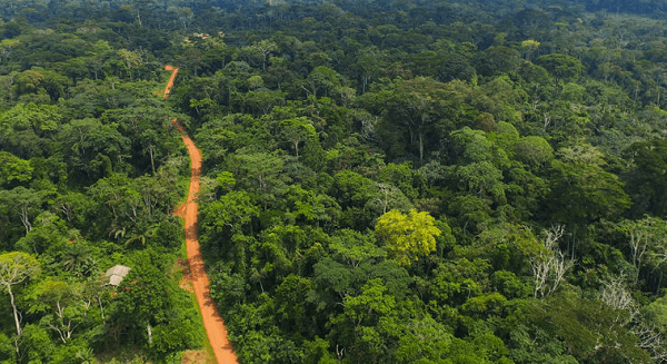 Achimota Forest Reserve