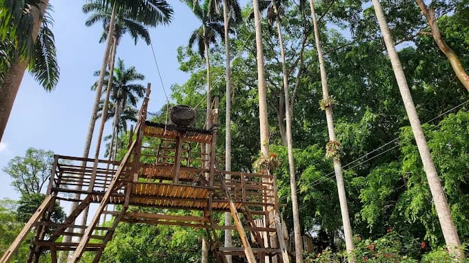 Bunso Eco Park - Image 3