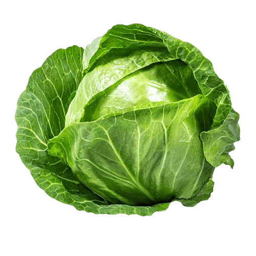 Cabbages  